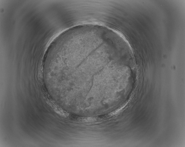 X0000081610879200702121612