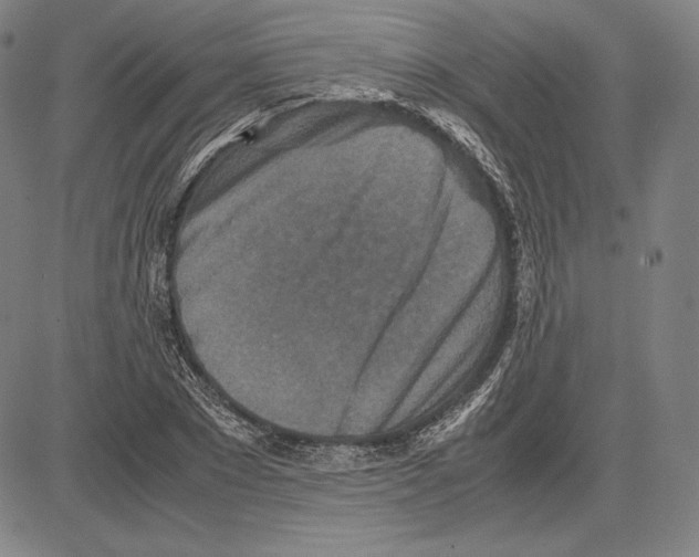 X0000081610881200702121612