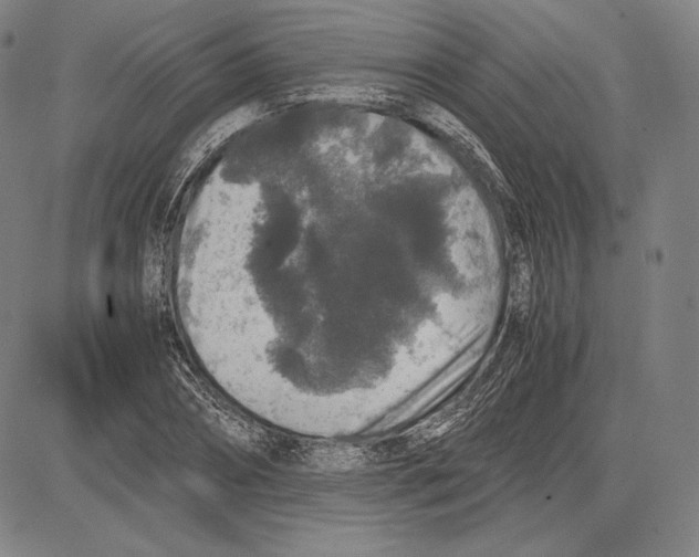 X0000081610882200702121612