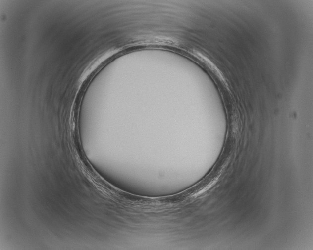 X0000081610885200702121612