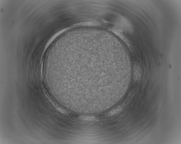 X0000081610886200702121612