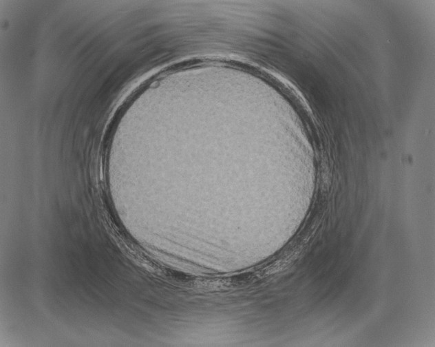 X0000081610887200702121612