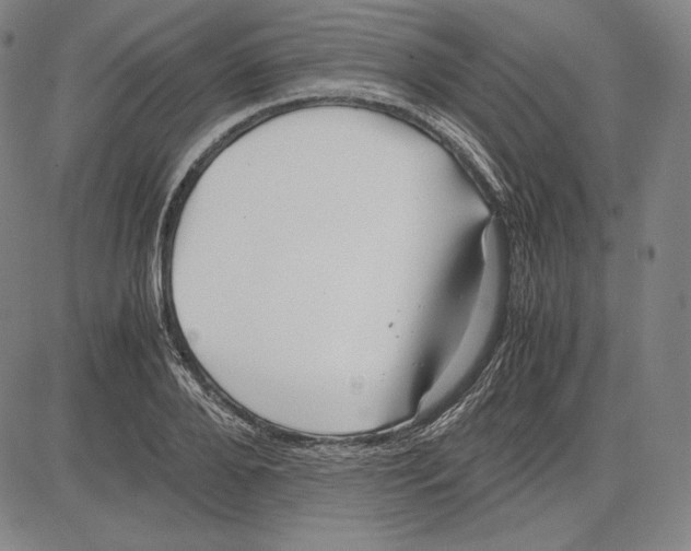 X0000081610888200702121612