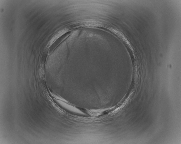 X0000081610889200702121612