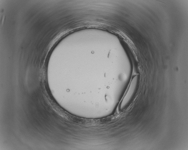 X0000081610891200702121612