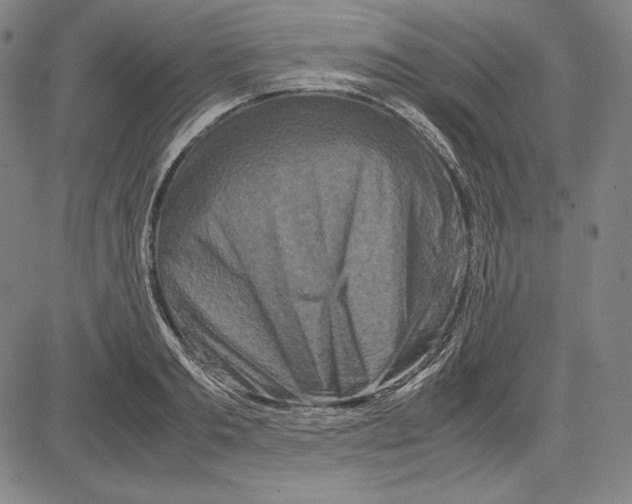 X0000081610893200702121612