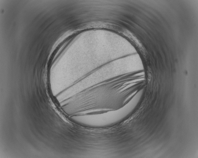 X0000081610894200702121612