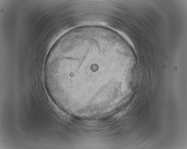 X0000081610895200702121612