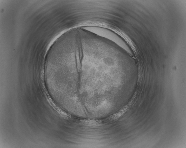 X0000081610896200702121612