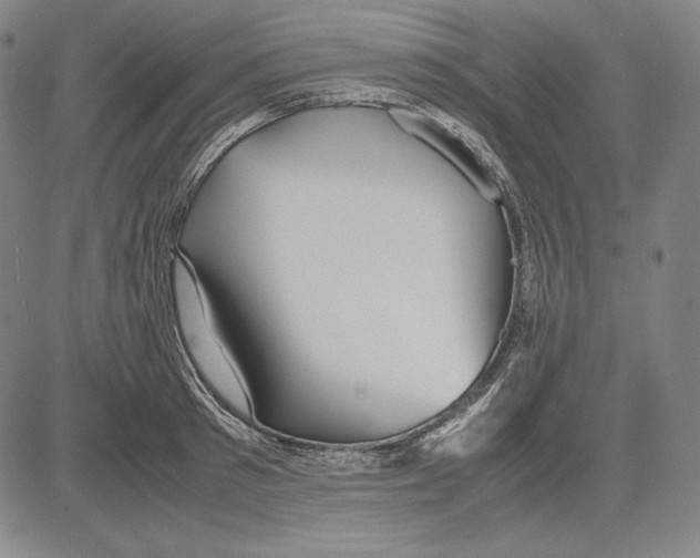 X0000081610897200702121612