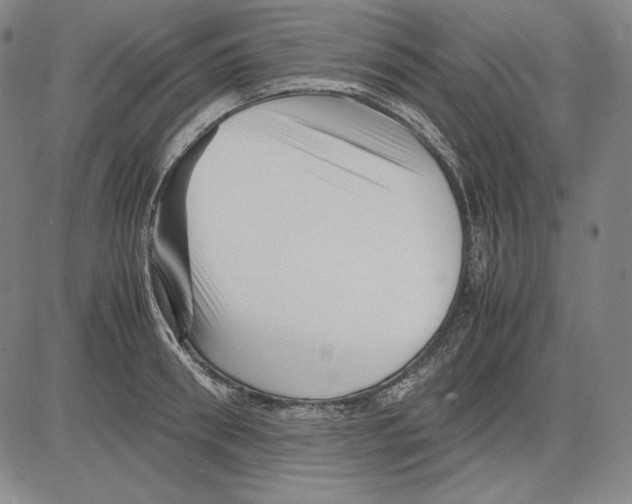 X0000081610898200702121612