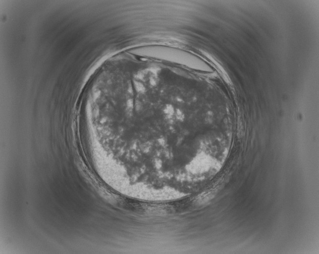 X0000081610899200702121612