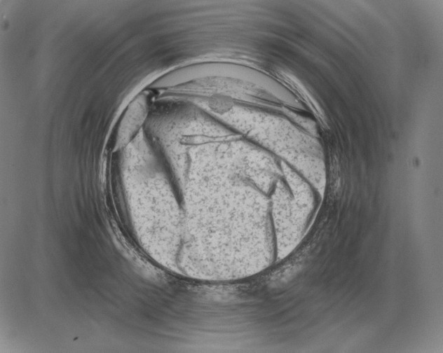 X0000081610900200702121612