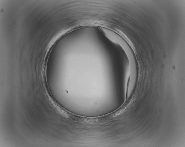 X0000081610901200702121612