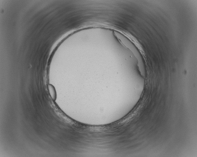 X0000081610904200702121612