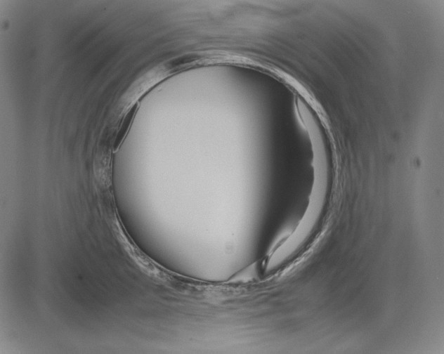 X0000081610905200702121611