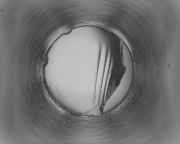 X0000081610906200702121611