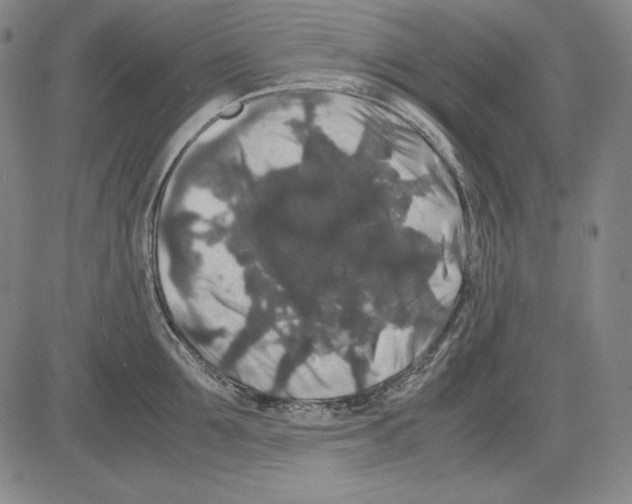 X0000081610907200702121611