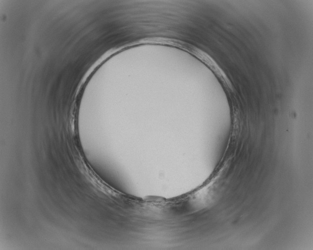 X0000081610908200702121611