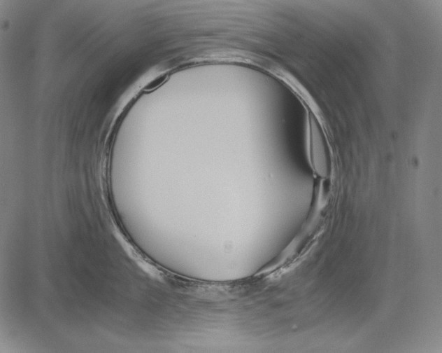 X0000081610909200702121611