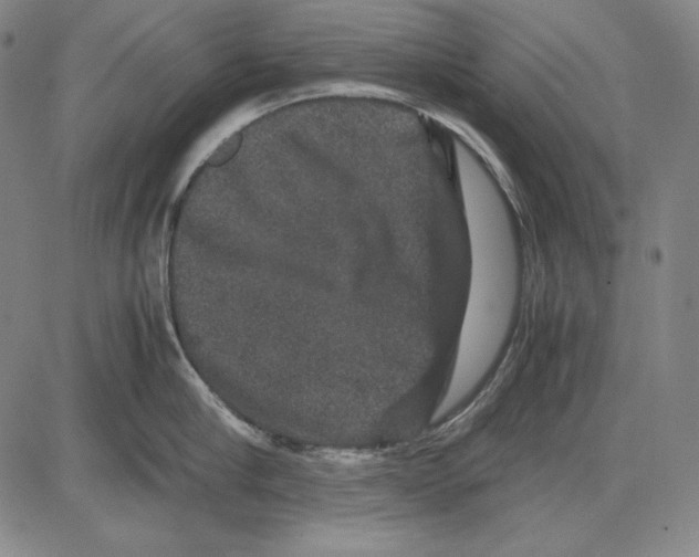 X0000081610910200702121611