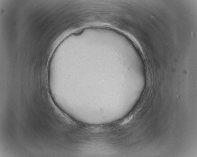 X0000081610911200702121611