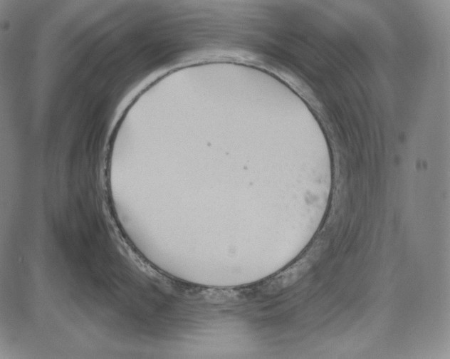 X0000081610912200702121611