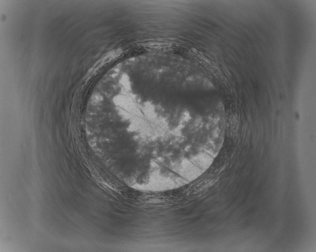 X0000081610913200702121611