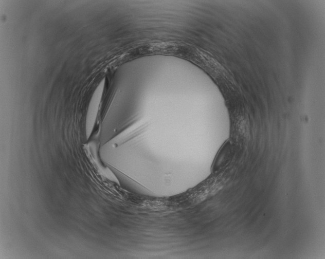 X0000081610914200702121611