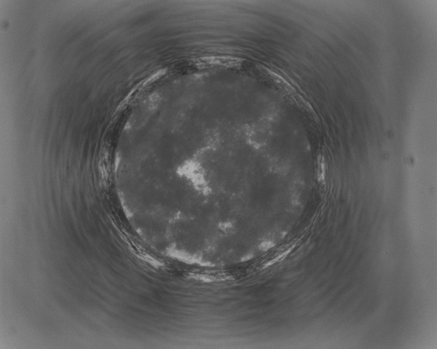 X0000081610915200702121611