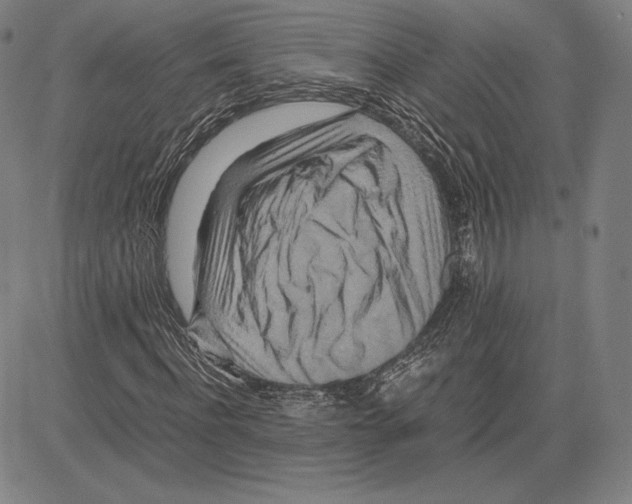 X0000081610916200702121611