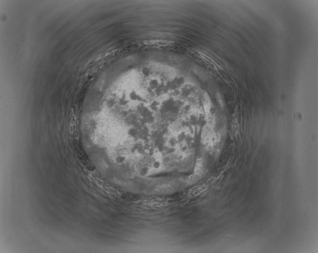 X0000081610917200702121611