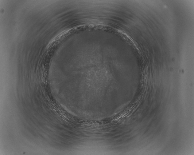 X0000081610919200702121611