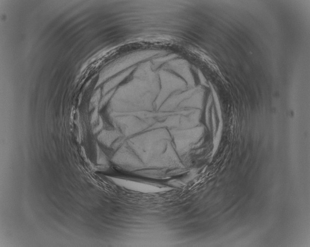 X0000081610920200702121611