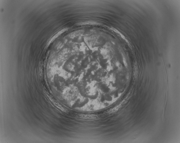 X0000081610921200702121611