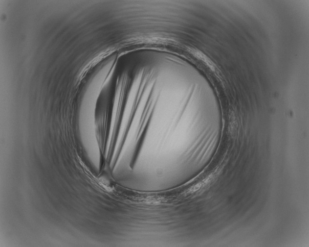 X0000081610922200702121611