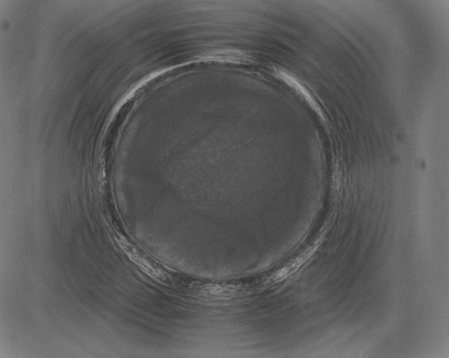 X0000081610923200702121611