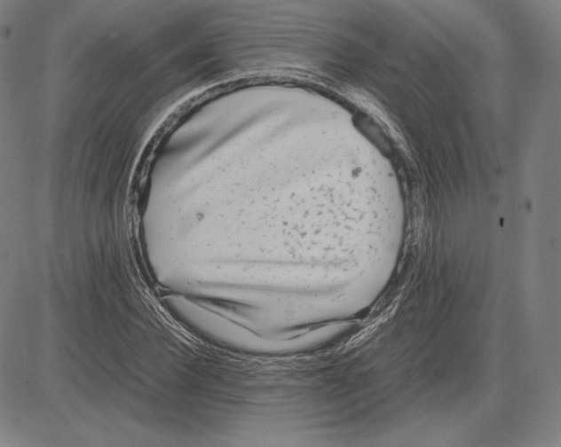 X0000081610924200702121611