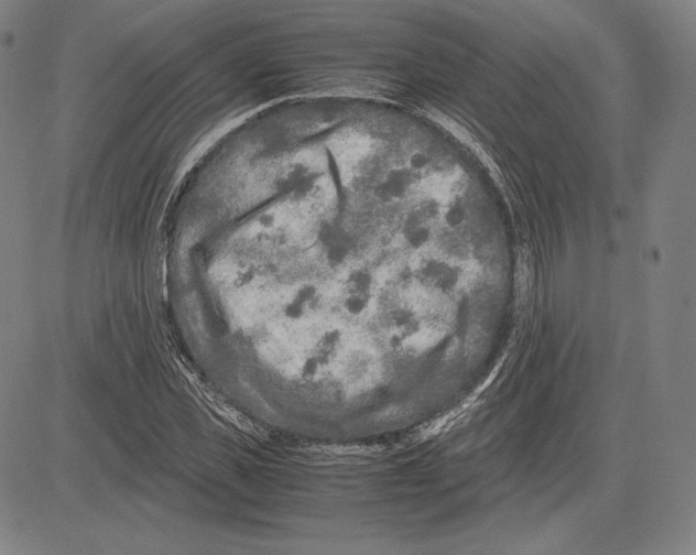 X0000081610925200702121611