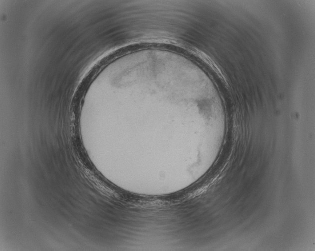 X0000081610926200702121611