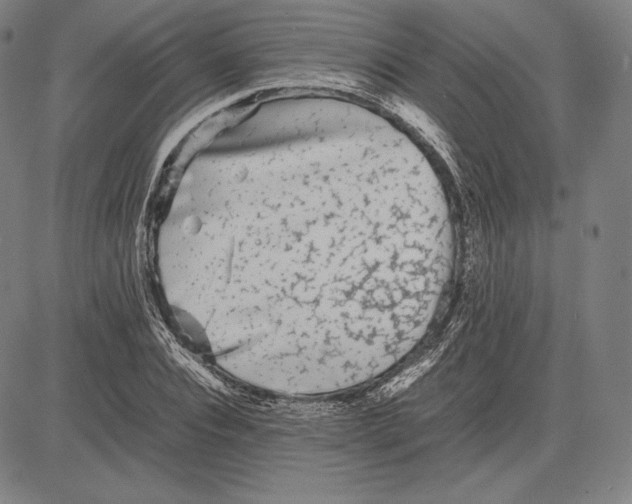 X0000081610928200702121611