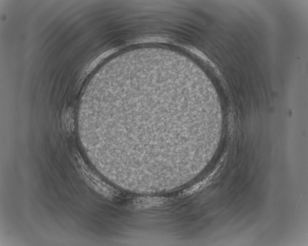 X0000081610929200702121611