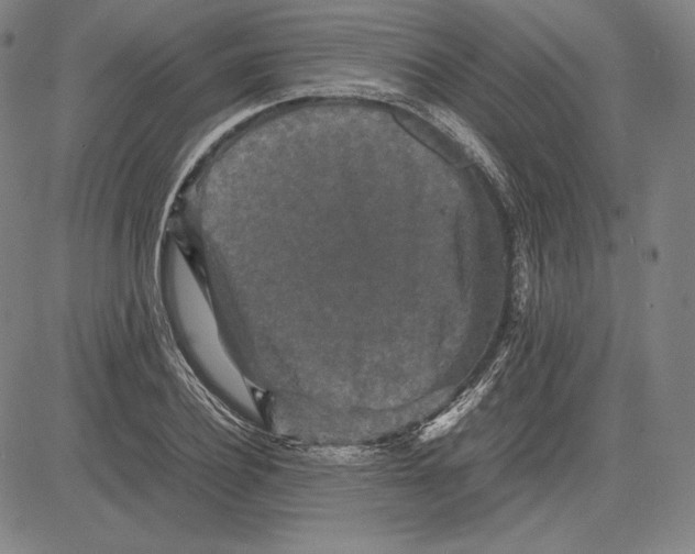 X0000081610932200702121611