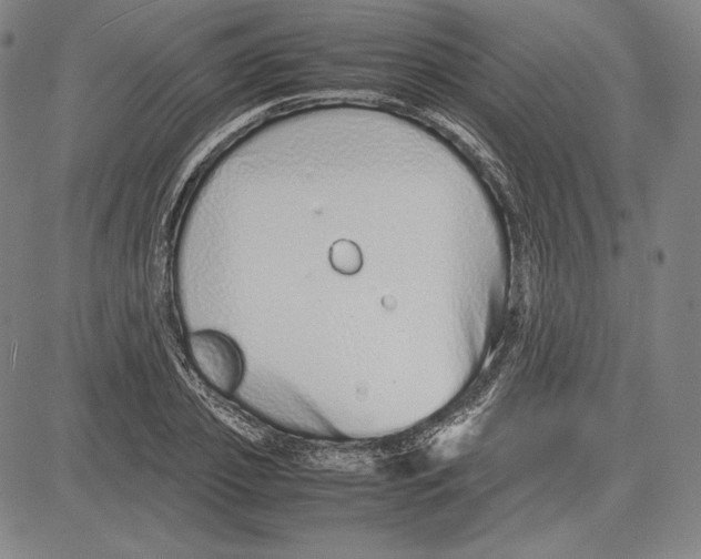 X0000081610933200702121611