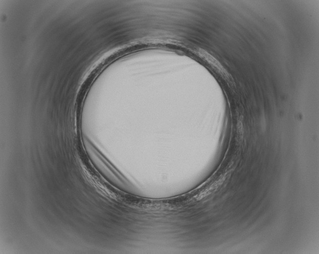 X0000081610934200702121611