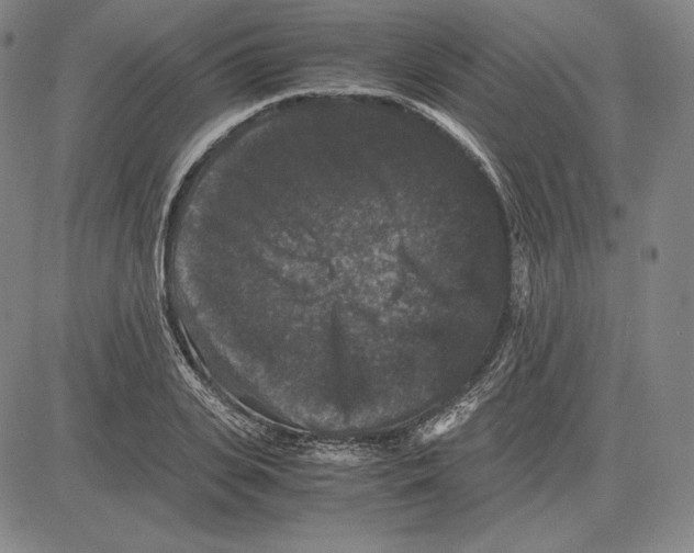 X0000081610935200702121611