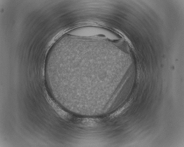 X0000081610938200702121611