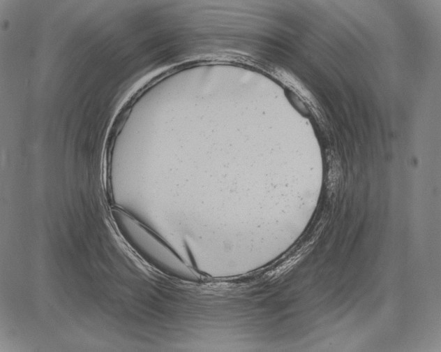 X0000081610940200702121611