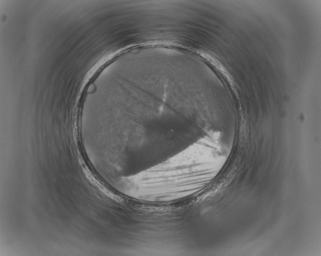 X0000081610941200702121611