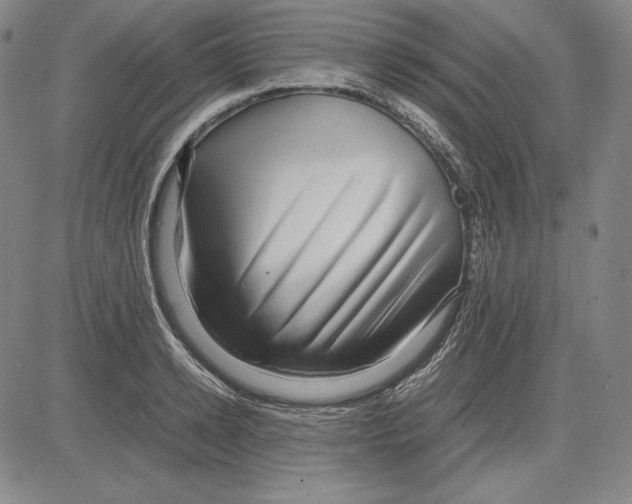 X0000081610942200702121611